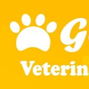Go Vet.3 Go Vet