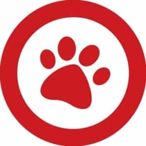 PetsOffice 1 بيتس اوفيس
