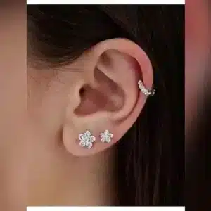 silver home3 44 11zon 13 11zon بيت الفضة 6