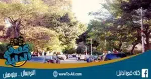 ثكنات المعادي