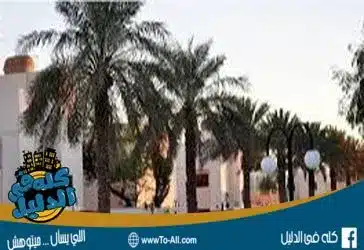 منتجع النخيل التجمع الأول