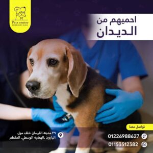 pets center veterinary clinic 3 pets center veterinary clinic