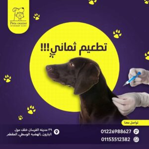 pets center veterinary clinic 4 pets center veterinary clinic